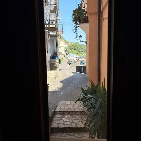 Belvedere Nonna Natalina